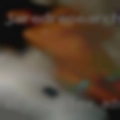 Bi free sex ads FL