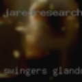 Swingers Glandorf